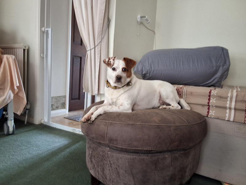 Oldwoman uploaded   237  day/s  ago