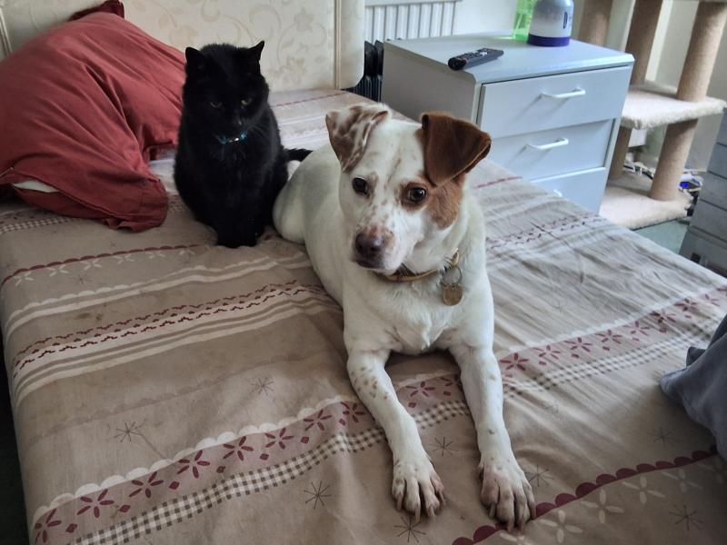 Oldwoman uploaded   1  day/s  ago