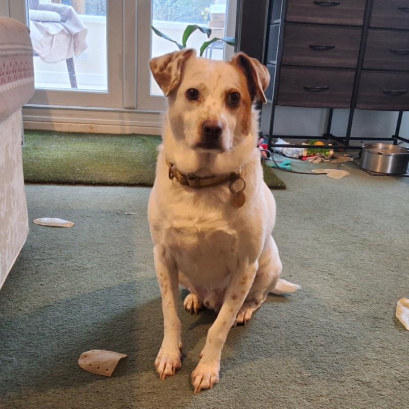 Oldwoman uploaded   52  day/s  ago