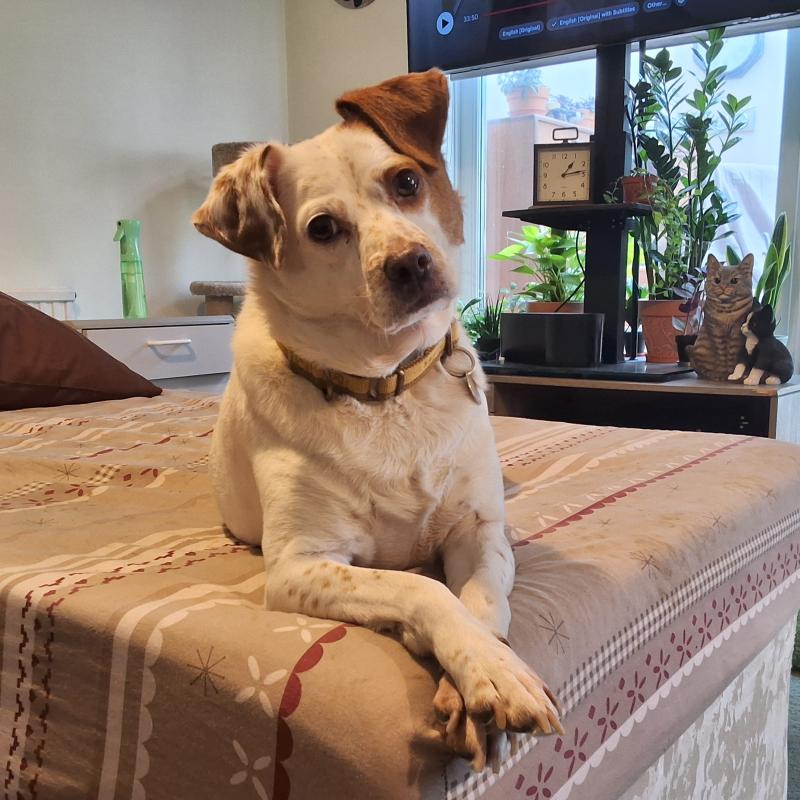 Oldwoman uploaded   52  day/s  ago