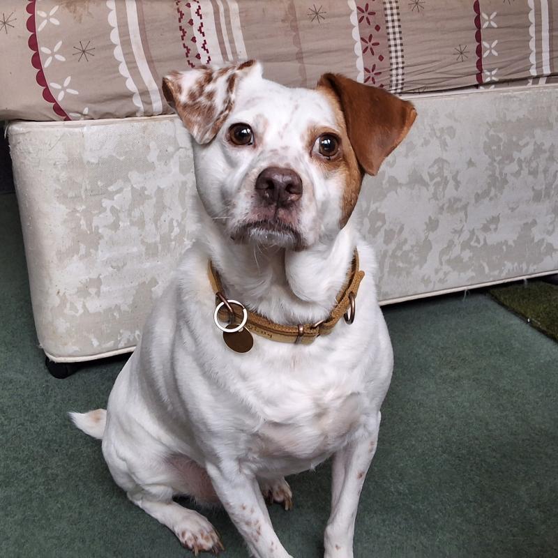 Oldwoman uploaded   49  day/s  ago