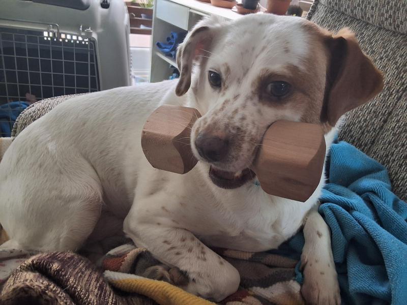 Oldwoman uploaded   32  day/s  ago