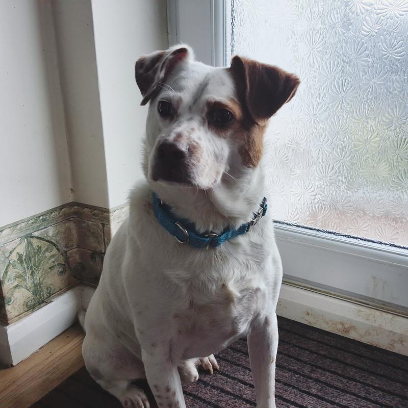 Alfie of the Oldwoman family