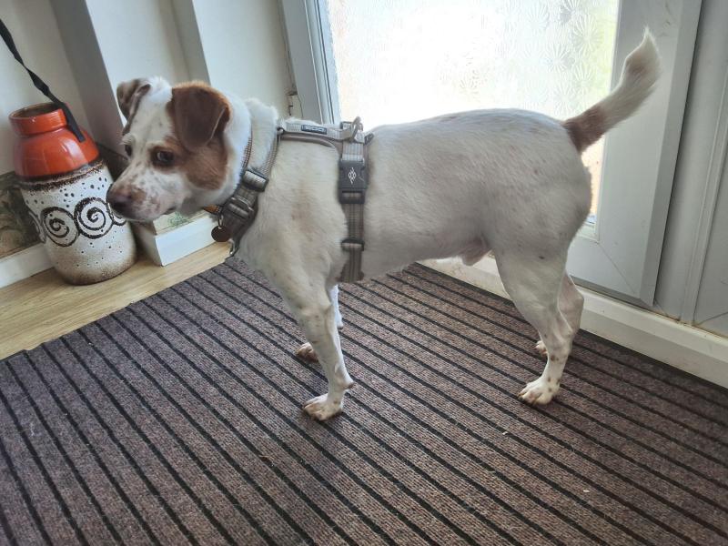 Alfie of the Oldwoman family