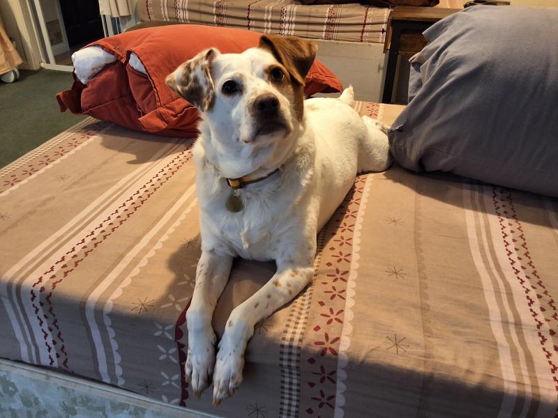 Alfie of the Oldwoman family