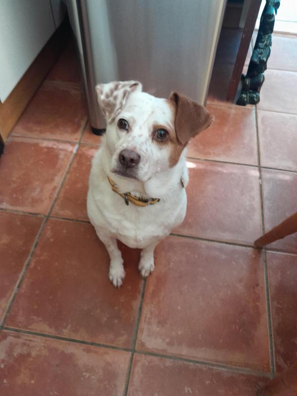 Oldwoman uploaded   1  day/s  ago