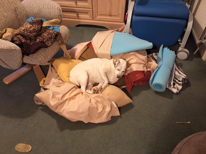Alfie of the Oldwoman family