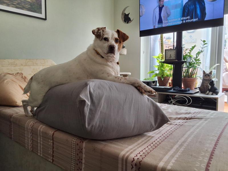 Oldwoman uploaded   3  day/s  ago