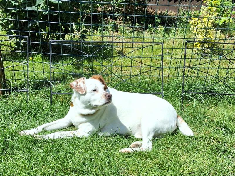 Oldwoman uploaded   21  day/s  ago