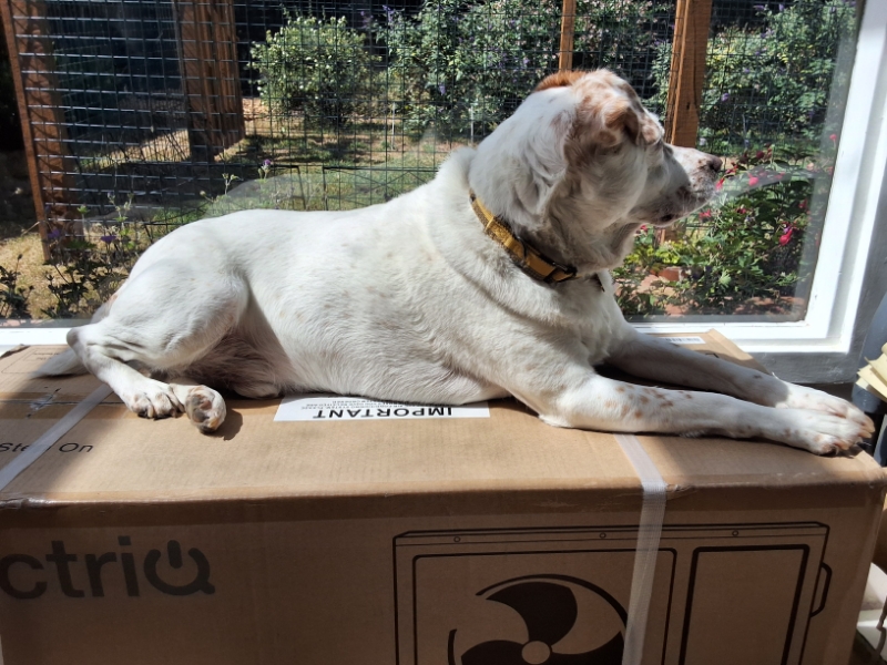 Alfie of the Oldwoman family