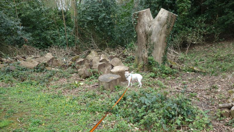 Oldwoman uploaded   1 year/s ago