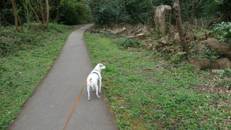 Oldwoman uploaded   1 year/s ago