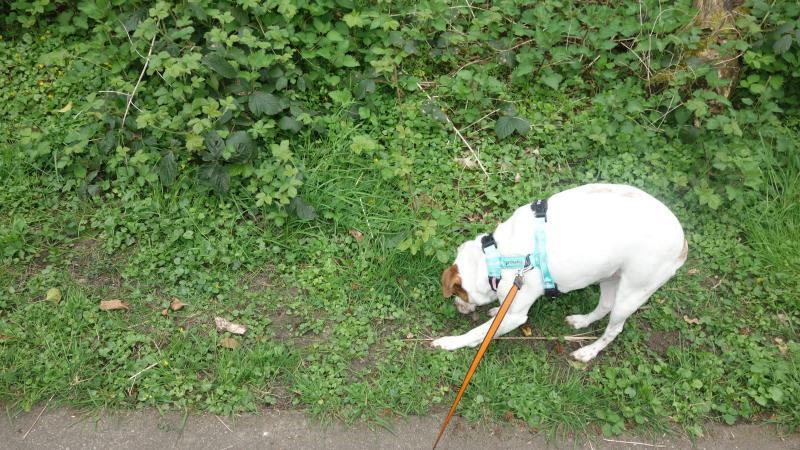 Oldwoman uploaded   1 year/s ago