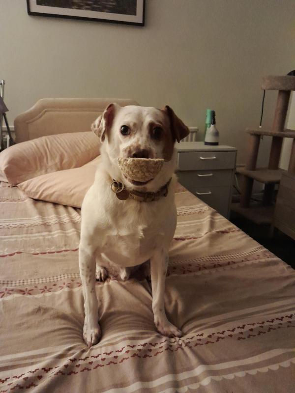 Alfie of the Oldwoman family