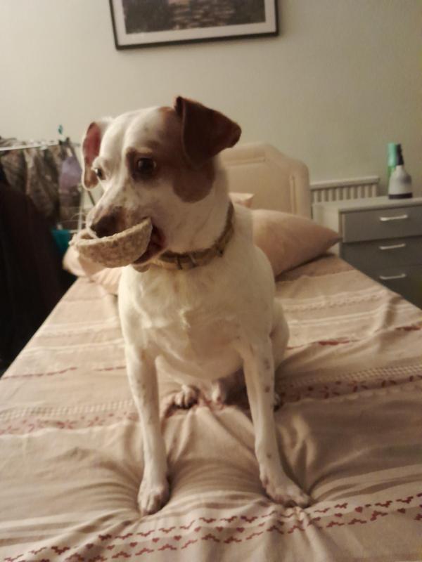 Alfie of the Oldwoman family