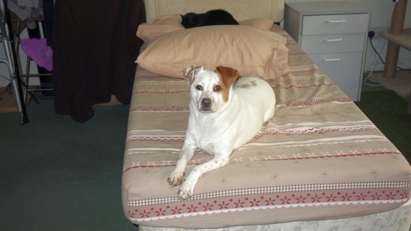 Oldwoman uploaded   1 year/s ago