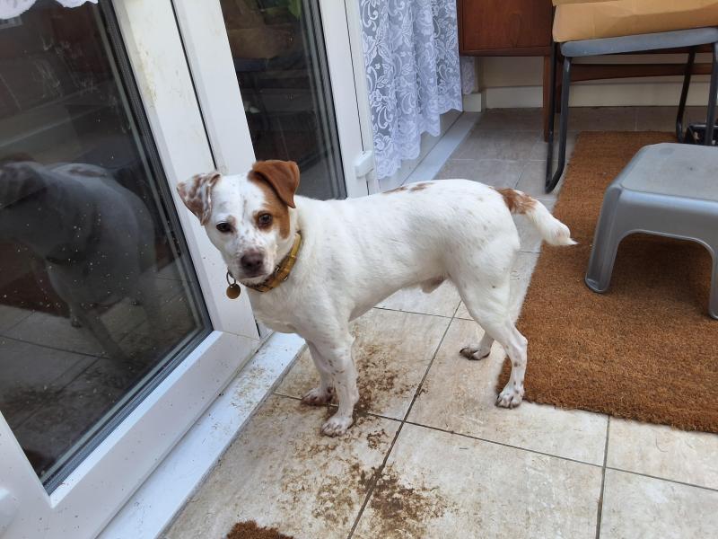 Oldwoman uploaded   364  day/s  ago