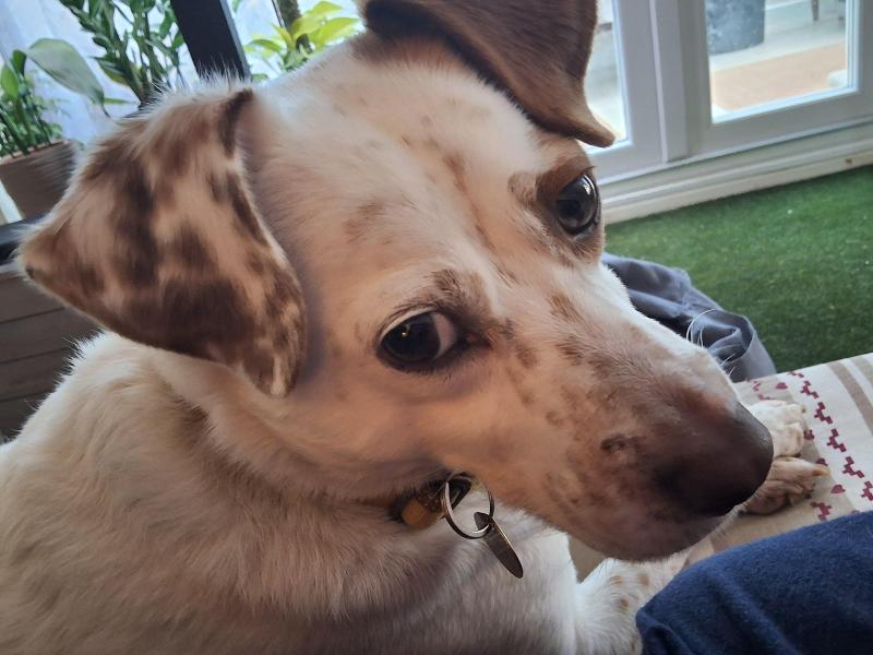 Oldwoman uploaded   335  day/s  ago