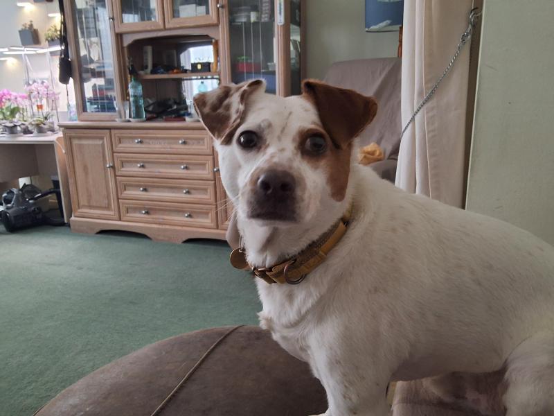 Oldwoman uploaded   357  day/s  ago