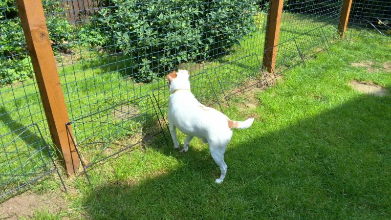 Oldwoman uploaded   316  day/s  ago