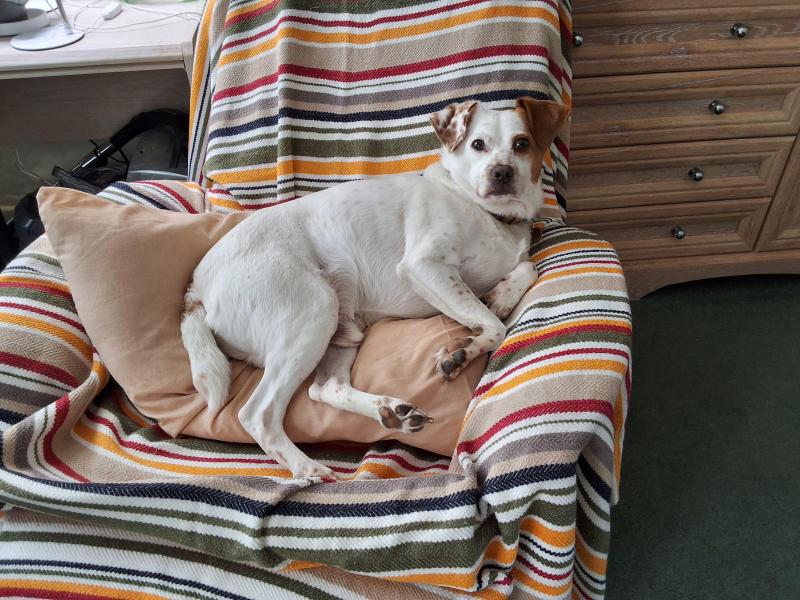 Oldwoman uploaded   305  day/s  ago