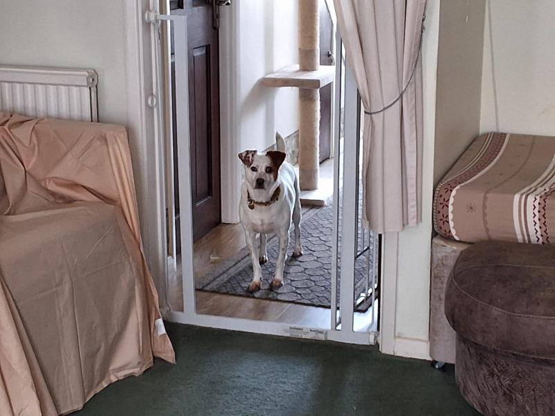 Oldwoman uploaded   281  day/s  ago