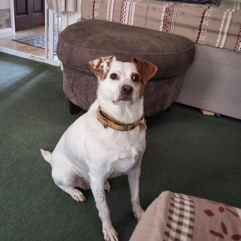 Oldwoman uploaded   237  day/s  ago