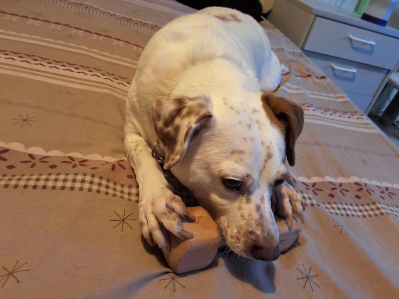 Alfie of the Oldwoman family