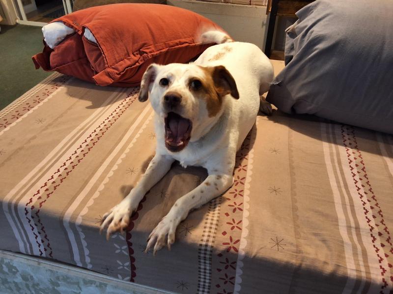 Alfie of the Oldwoman family