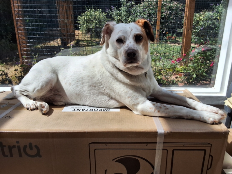 Alfie of the Oldwoman family