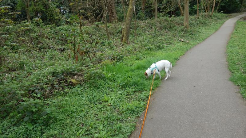 Oldwoman uploaded   1 year/s ago