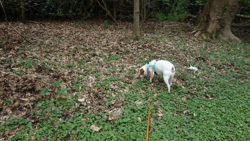 Oldwoman uploaded   1 year/s ago