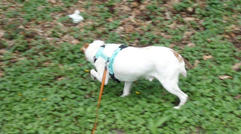 Oldwoman uploaded   1 year/s ago