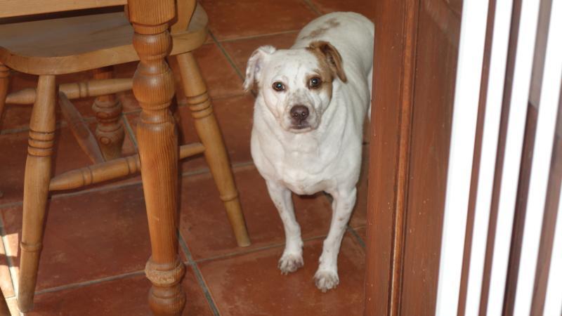 Oldwoman uploaded   1 year/s ago