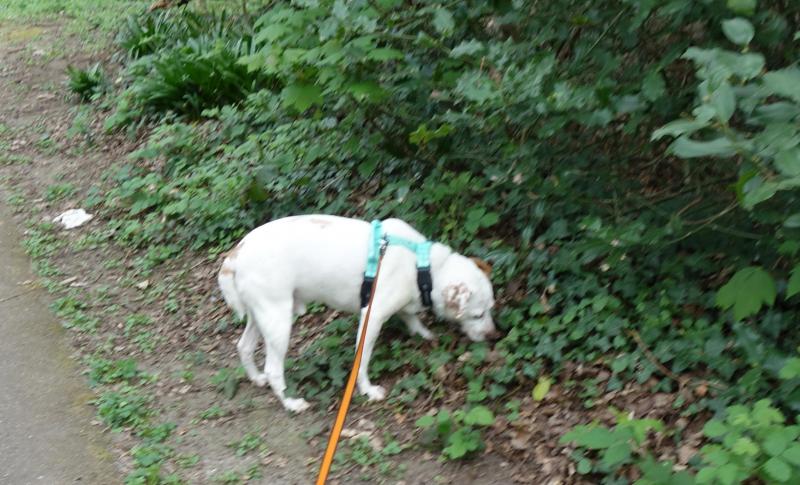 Oldwoman uploaded   1 year/s ago