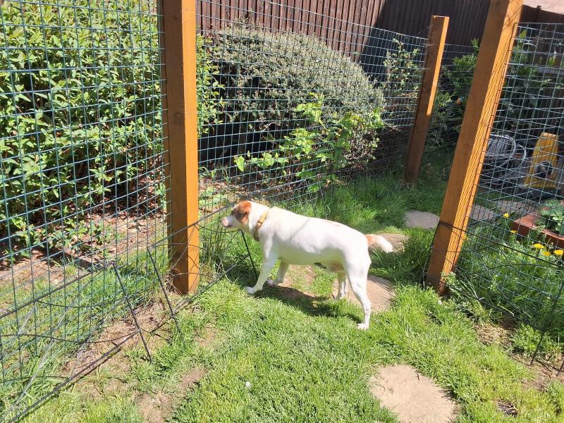 Oldwoman uploaded   364  day/s  ago