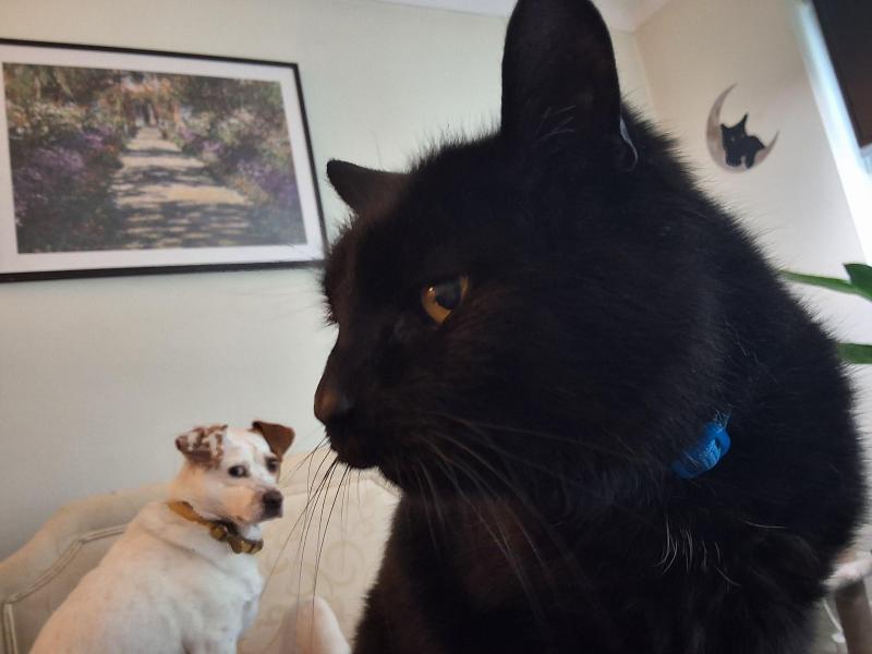 Oldwoman uploaded   335  day/s  ago