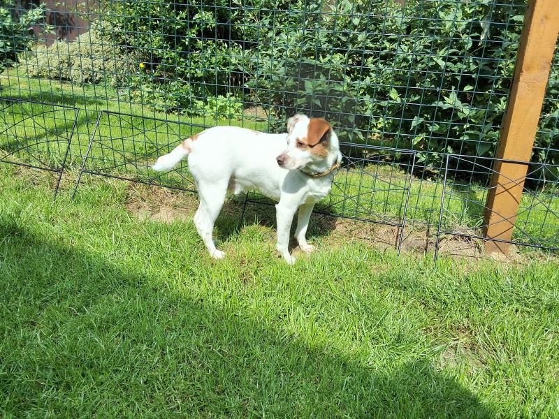 Oldwoman uploaded   316  day/s  ago