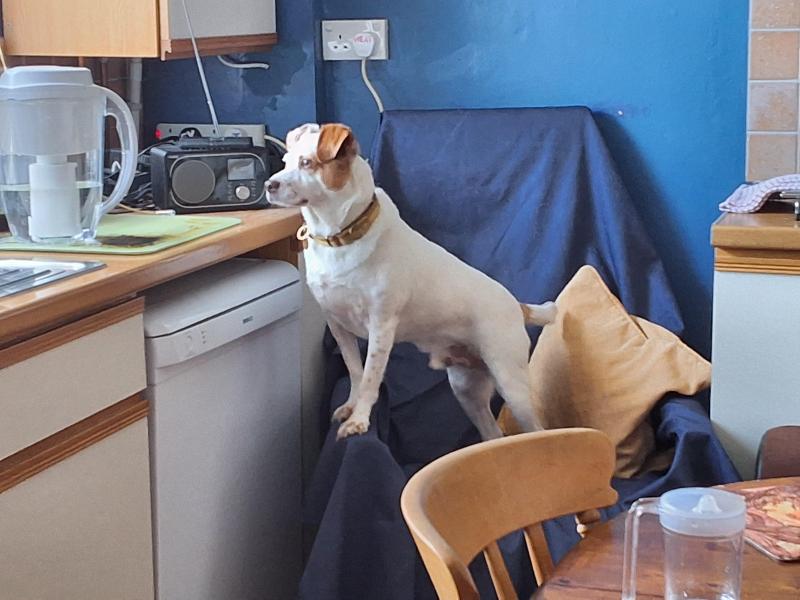 Oldwoman uploaded   281  day/s  ago