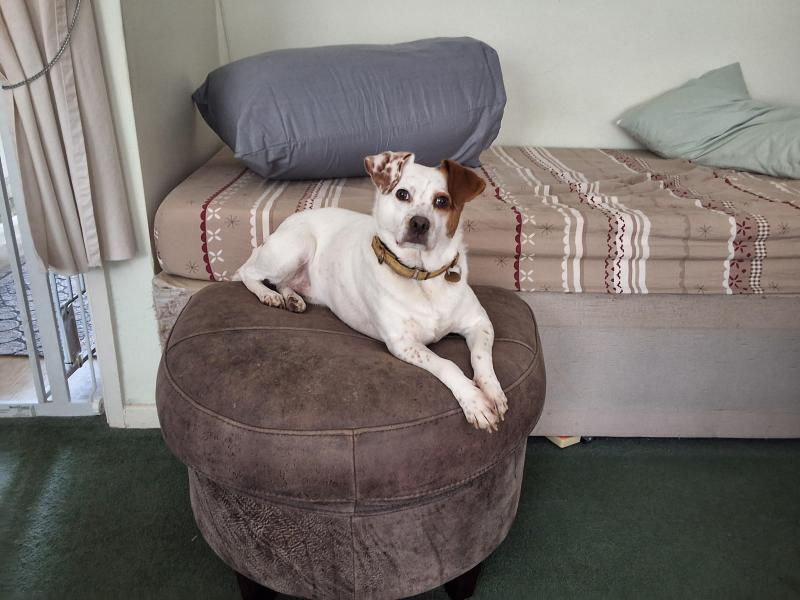 Oldwoman uploaded   237  day/s  ago