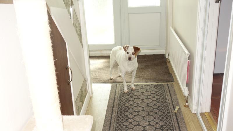 Oldwoman uploaded   1 year/s ago