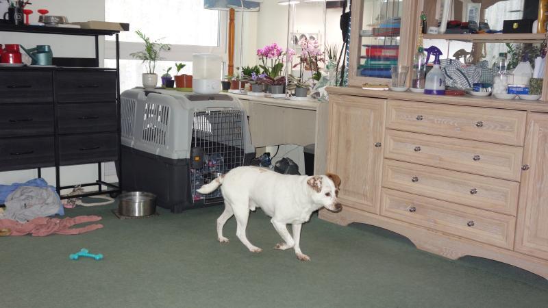 Oldwoman uploaded   1 year/s ago