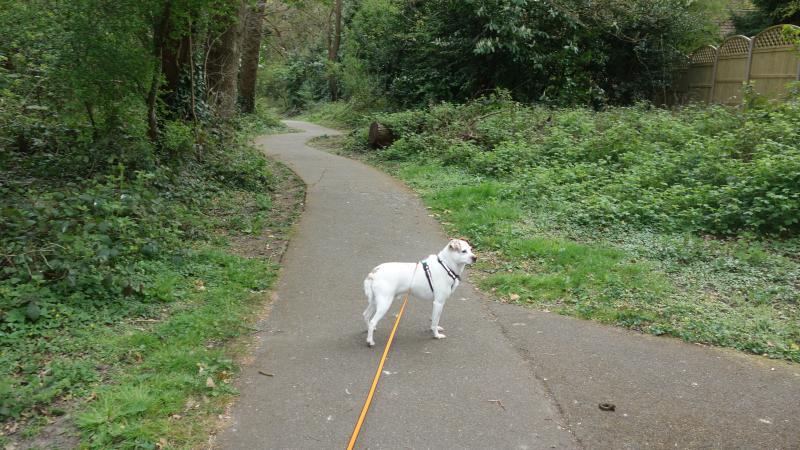 Oldwoman uploaded   1 year/s ago