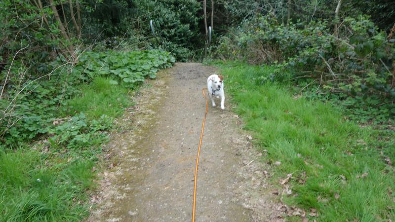 Oldwoman uploaded   1 year/s ago