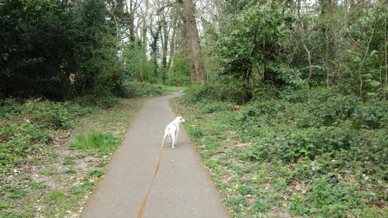 Oldwoman uploaded   1 year/s ago