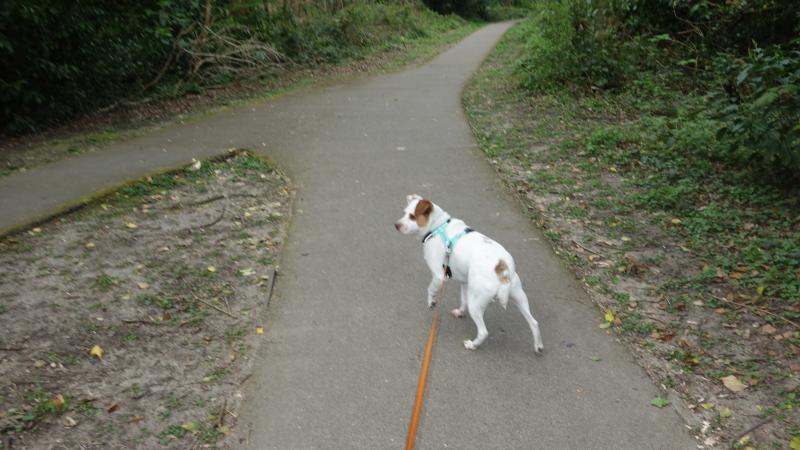 Oldwoman uploaded   1 year/s ago