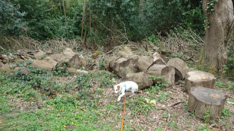 Oldwoman uploaded   1 year/s ago