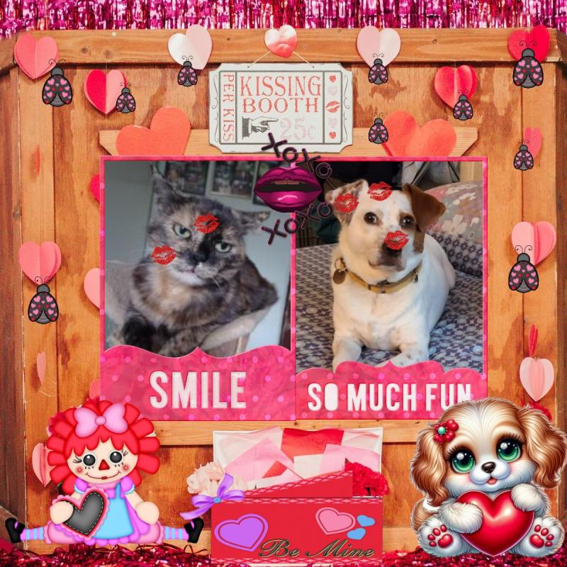 Oldwoman uploaded   87  day/s  ago