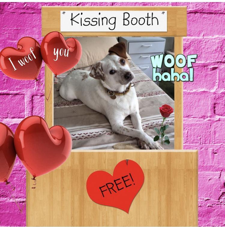 Oldwoman uploaded   82  day/s  ago