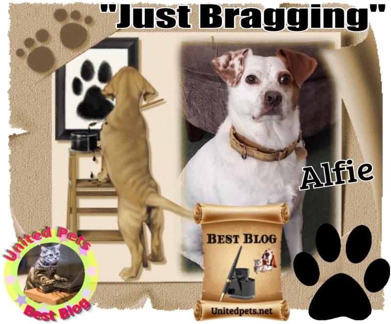 Oldwoman uploaded   80  day/s  ago